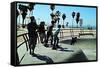 Boys at Skate Park-Steve Ash-Framed Stretched Canvas