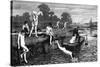 Boys Bathing in the River Thames-HR Robertson-Stretched Canvas