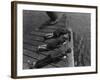 Boys Crabbing-null-Framed Photographic Print