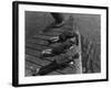 Boys Crabbing-null-Framed Photographic Print