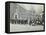 Boys Emigrating to Canada Setting Off from Saint Nicholas Industrial School, Essex, 1908-null-Framed Stretched Canvas