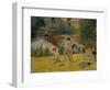 Boys from Brittany Bathing, or Bath at the Mill in the Bois D'Amour, 1886-Paul Gauguin-Framed Giclee Print