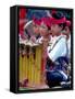 Boys' Gamelan Orchestra and Barong Dancers, Bali, Indonesia-Merrill Images-Framed Stretched Canvas