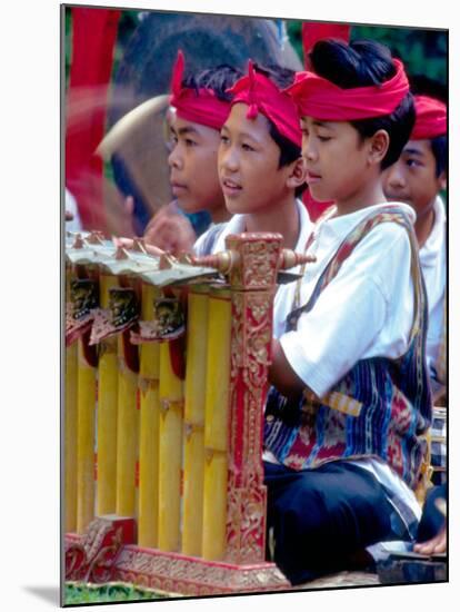 Boys' Gamelan Orchestra and Barong Dancers, Bali, Indonesia-Merrill Images-Mounted Photographic Print