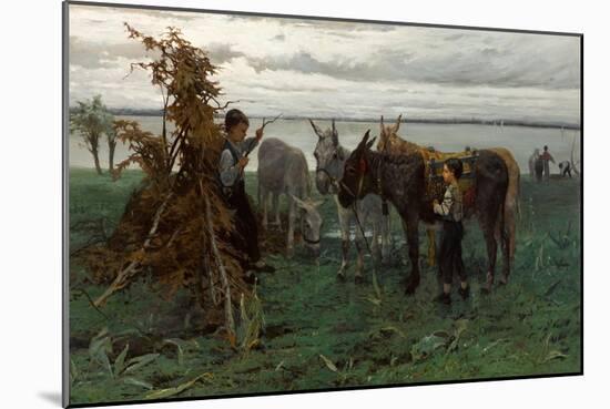 Boys Herding Donkeys, 1865-Willem Maris-Mounted Giclee Print