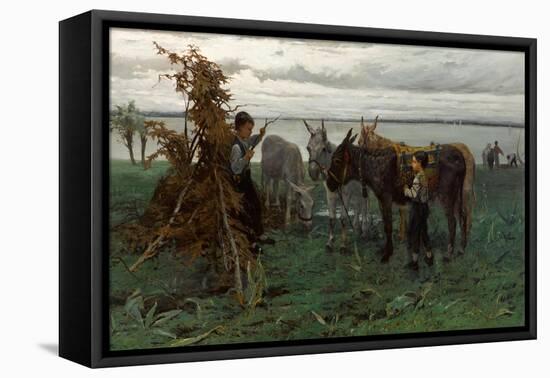 Boys Herding Donkeys, 1865-Willem Maris-Framed Stretched Canvas
