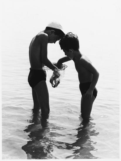 Premium Photographic Print, , large