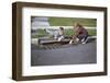 Boys Looking into Grate-William P. Gottlieb-Framed Photographic Print