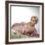 Boys' Night Out 1962 Directed by Michael Gordon Kim Novak-null-Framed Photo