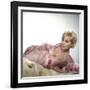 Boys' Night Out 1962 Directed by Michael Gordon Kim Novak-null-Framed Photo