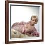 Boys' Night Out 1962 Directed by Michael Gordon Kim Novak-null-Framed Photo