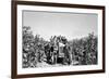 Boys on a Tractor on a Tobacco Field-Sergio del Grande-Framed Photographic Print