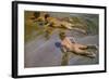 Boys on the Beach, 1909-Joaquín Sorolla y Bastida-Framed Giclee Print