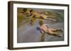 Boys on the Beach, 1909-Joaquín Sorolla y Bastida-Framed Giclee Print