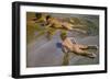 Boys on the Beach, 1909-Joaquín Sorolla y Bastida-Framed Giclee Print