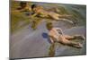 Boys on the Beach, 1909-Joaquín Sorolla y Bastida-Mounted Giclee Print