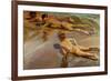 Boys On the Beach, 1910-Joaquín Sorolla y Bastida-Framed Giclee Print