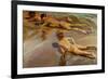 Boys On the Beach, 1910-Joaquín Sorolla y Bastida-Framed Giclee Print