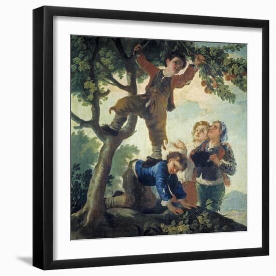 Boys Picking Fruit, 1779-80-Francisco de Goya-Framed Giclee Print