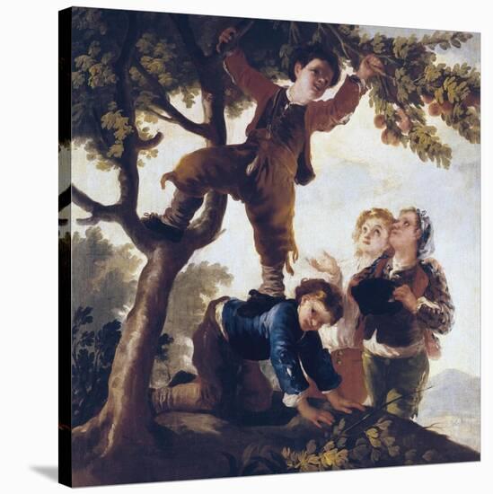 Boys Picking Fruit-Francisco de Goya-Stretched Canvas