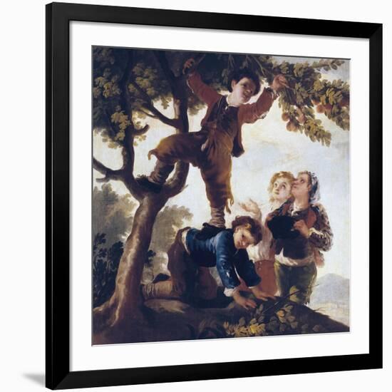 Boys Picking Fruit-Francisco de Goya-Framed Art Print