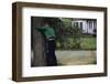 Boys Playing Hide and Seek-William P. Gottlieb-Framed Photographic Print