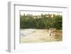 Boys playing in surf, Mirrisa beach, South coast, Sri Lanka-Peter Adams-Framed Photographic Print