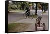 Boys Riding their Bike and Tricycle-William P. Gottlieb-Framed Stretched Canvas