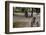 Boys Riding their Bike and Tricycle-William P. Gottlieb-Framed Photographic Print