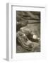 Boys' Shoes-Found Image Press-Framed Photographic Print