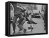 Boys Skateboarding in the Streets-Bill Eppridge-Framed Stretched Canvas