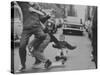 Boys Skateboarding in the Streets-Bill Eppridge-Stretched Canvas