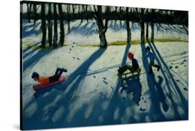 Boys Sledging, Allestree Park, Derby-Andrew Macara-Stretched Canvas