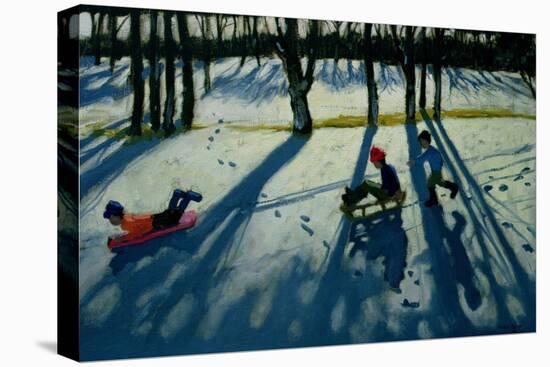 Boys Sledging, Allestree Park, Derby-Andrew Macara-Stretched Canvas