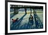 Boys Sledging, Allestree Park, Derby-Andrew Macara-Framed Giclee Print