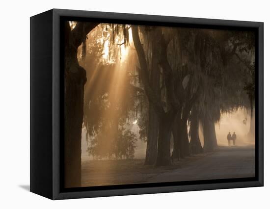 Boys Walking in Early Morning Fog at Bethesda, Savannah, Georgia, USA-Joanne Wells-Framed Stretched Canvas