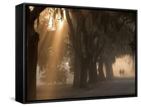 Boys Walking in Early Morning Fog at Bethesda, Savannah, Georgia, USA-Joanne Wells-Framed Stretched Canvas