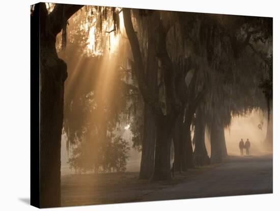 Boys Walking in Early Morning Fog at Bethesda, Savannah, Georgia, USA-Joanne Wells-Stretched Canvas