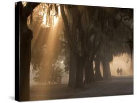 Boys Walking in Early Morning Fog at Bethesda, Savannah, Georgia, USA-Joanne Wells-Stretched Canvas