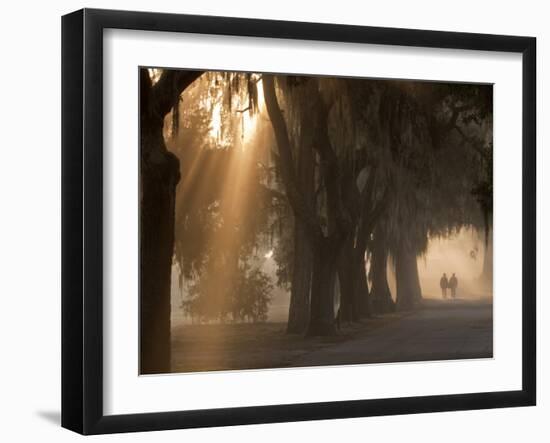 Boys Walking in Early Morning Fog at Bethesda, Savannah, Georgia, USA-Joanne Wells-Framed Premium Photographic Print