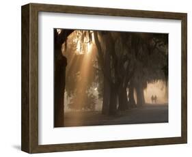 Boys Walking in Early Morning Fog at Bethesda, Savannah, Georgia, USA-Joanne Wells-Framed Photographic Print