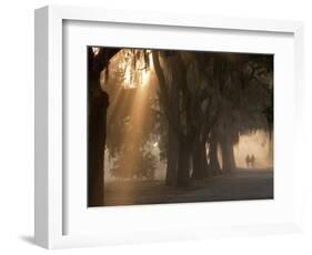 Boys Walking in Early Morning Fog at Bethesda, Savannah, Georgia, USA-Joanne Wells-Framed Photographic Print