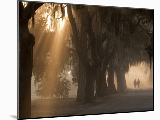 Boys Walking in Early Morning Fog at Bethesda, Savannah, Georgia, USA-Joanne Wells-Mounted Photographic Print