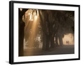 Boys Walking in Early Morning Fog at Bethesda, Savannah, Georgia, USA-Joanne Wells-Framed Photographic Print