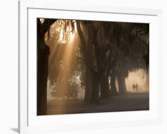 Boys Walking in Early Morning Fog at Bethesda, Savannah, Georgia, USA-Joanne Wells-Framed Photographic Print