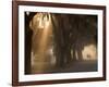 Boys Walking in Early Morning Fog at Bethesda, Savannah, Georgia, USA-Joanne Wells-Framed Photographic Print