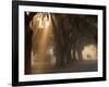 Boys Walking in Early Morning Fog at Bethesda, Savannah, Georgia, USA-Joanne Wells-Framed Photographic Print