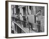 Boys Working in Pasta Factory Carry Rods of Pasta to Drying Rooms-Alfred Eisenstaedt-Framed Photographic Print