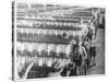 Boys Working in the Olympian Cotton Mills South Carolina-null-Stretched Canvas