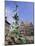 Brabo Statue, Antwerp, Belgium-Ken Gillham-Mounted Photographic Print